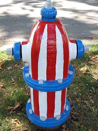 435 S. Cornell - Red, White, and Blue (2)